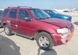 2007 FORD ESCAPE LIMITED