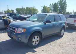 2011 FORD ESCAPE XLT