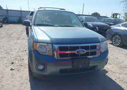 2011 FORD ESCAPE XLT