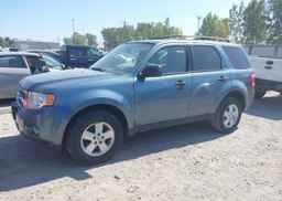2011 FORD ESCAPE XLT