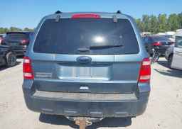 2011 FORD ESCAPE XLT