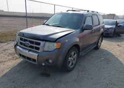 2009 FORD ESCAPE LIMITED