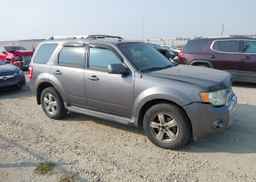2009 FORD ESCAPE LIMITED