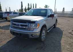 2013 FORD F-150 XLT