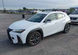 2019 LEXUS UX 250H