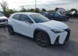 2019 LEXUS UX 250H