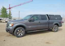 2011 FORD F-150 FX4