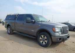 2011 FORD F-150 FX4