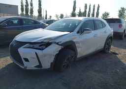 2020 LEXUS UX 250H