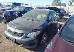 2009 TOYOTA COROLLA
