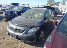 2009 TOYOTA COROLLA