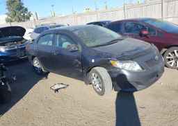 2009 TOYOTA COROLLA
