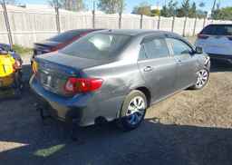 2009 TOYOTA COROLLA