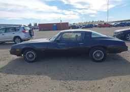 1981 CHEVROLET CAMARO BERLINETTA