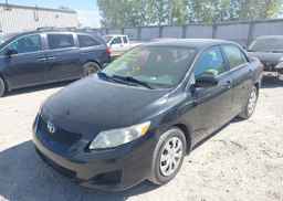 2010 TOYOTA COROLLA
