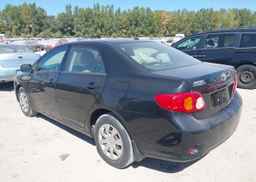 2010 TOYOTA COROLLA