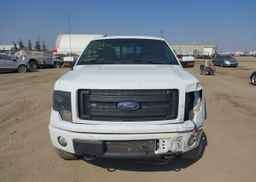 2014 FORD F-150 FX4