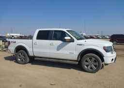 2014 FORD F-150 FX4