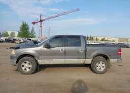 2006 FORD F-150 FX4