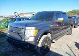 2010 FORD F-150 FX4