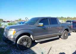 2010 FORD F-150 FX4