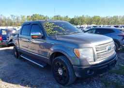 2010 FORD F-150 FX4