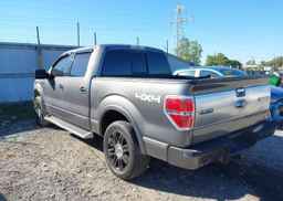 2010 FORD F-150 FX4