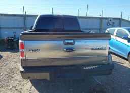 2010 FORD F-150 FX4
