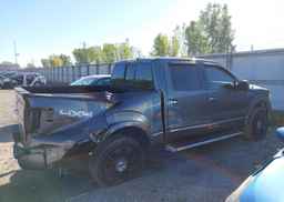 2010 FORD F-150 FX4