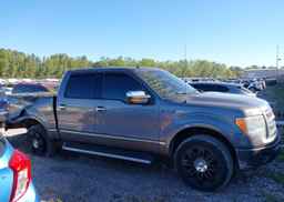 2010 FORD F-150 FX4