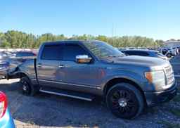 2010 FORD F-150 FX4