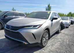 2023 TOYOTA VENZA XLE