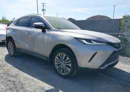 2023 TOYOTA VENZA XLE