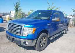 2012 FORD F-150 XLT
