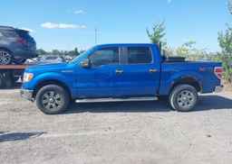2012 FORD F-150 XLT