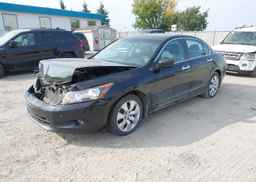 2010 HONDA ACCORD EXL