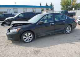 2010 HONDA ACCORD EXL