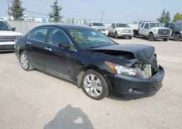 2010 HONDA ACCORD EXL