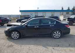 2010 HONDA ACCORD EXL