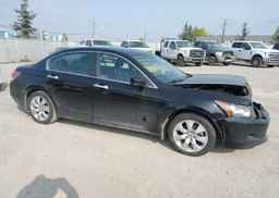 2010 HONDA ACCORD EXL