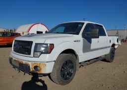 2013 FORD F150 SUPERCREW