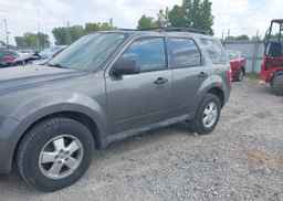 2012 FORD ESCAPE XLT