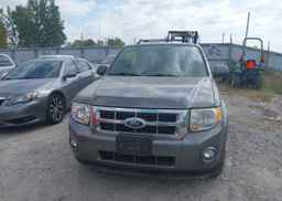 2012 FORD ESCAPE XLT