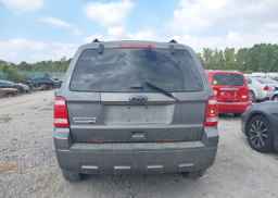2012 FORD ESCAPE XLT
