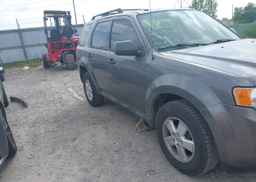 2012 FORD ESCAPE XLT