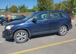 2007 HONDA CR-V