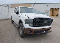 2014 FORD F150 SUPERCREW
