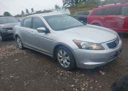2008 HONDA ACCORD EXL