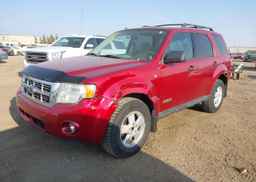 2008 FORD ESCAPE XLT