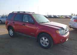 2008 FORD ESCAPE XLT